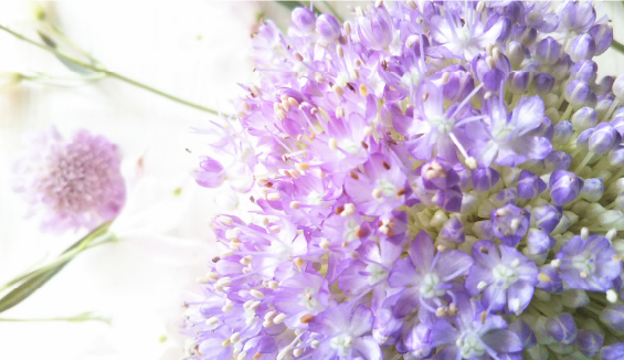                                  
                                 横川１丁目売土地価格改定                                 
                                 